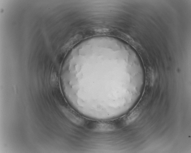 X0000079300614200612081845