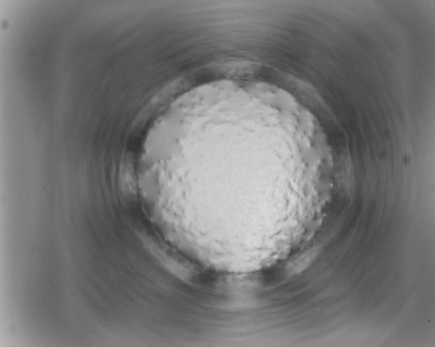 X0000079300622200612081845