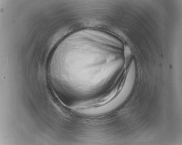 X0000079300626200612081845