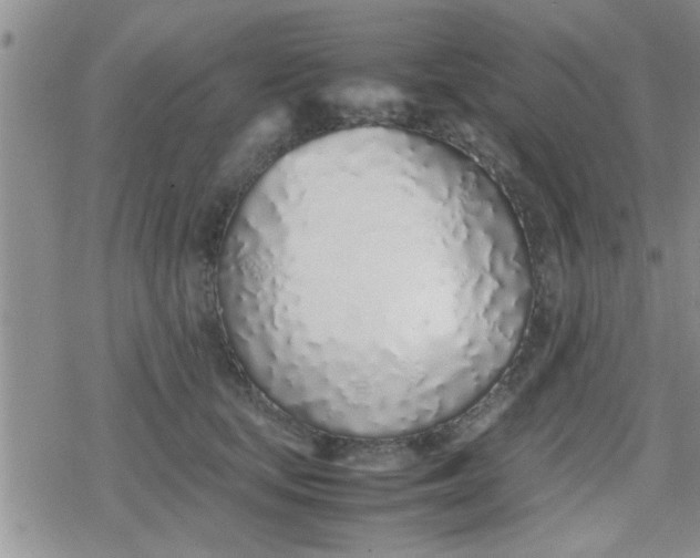 X0000079300659200612081845