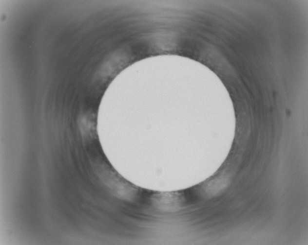 X0000079300672200612081845