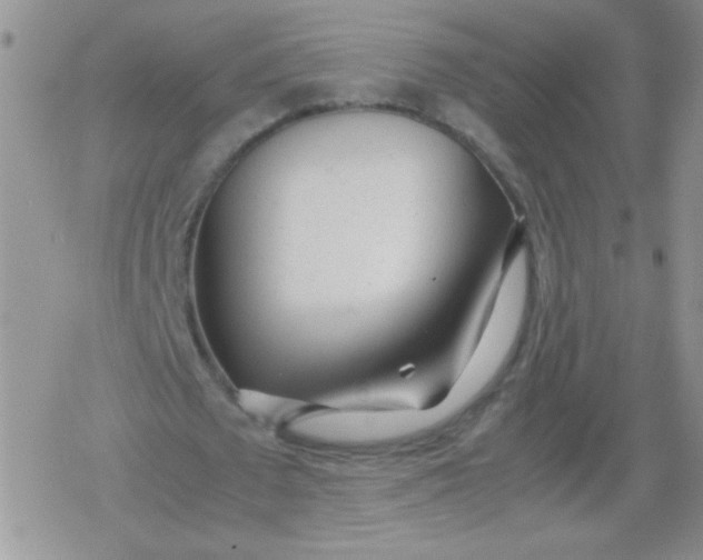 X0000079300673200612081845