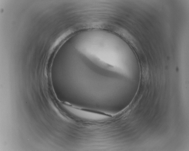 X0000079300674200612081845