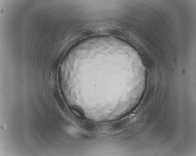X0000079300695200612081844