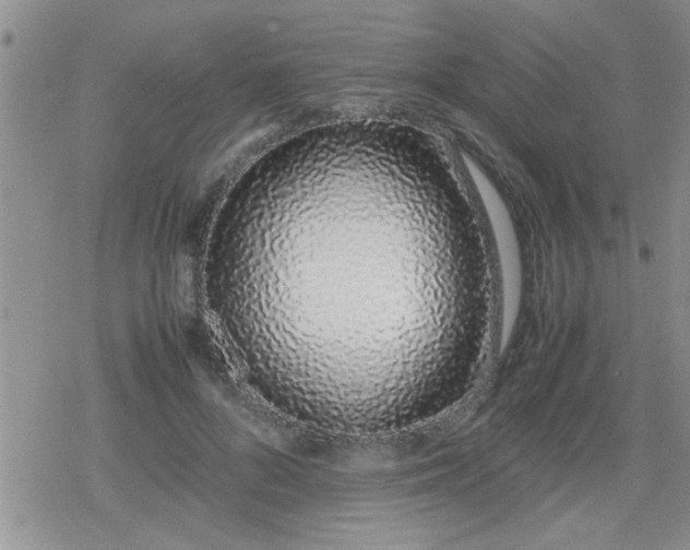 X0000079300696200612081844