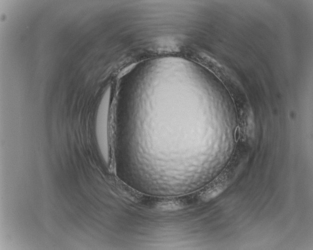 X0000079300704200612081844