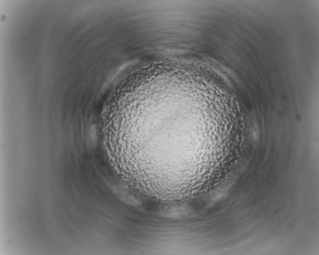 X0000079300716200612081844