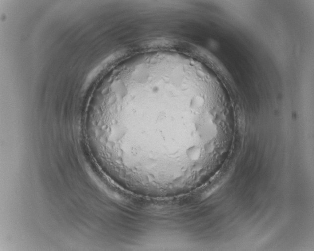 X0000079300725200612081843