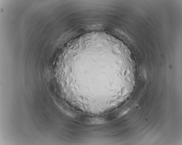 X0000079300741200612081843