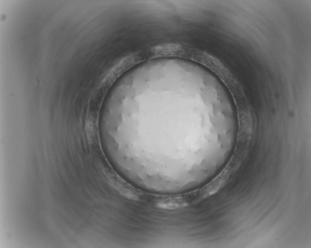X0000079300761200612081844