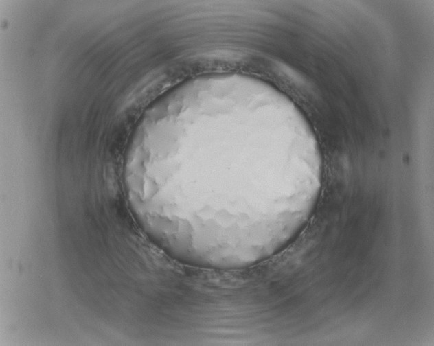 X0000079300774200612081843