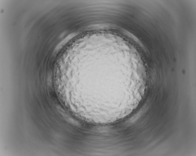 X0000079300778200612081843