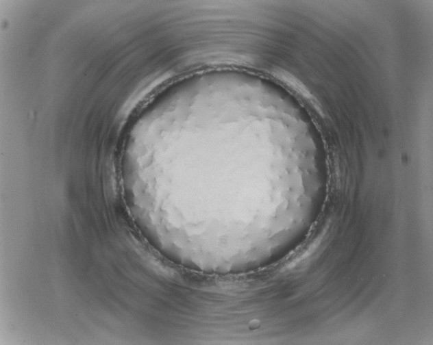 X0000079300782200612081843