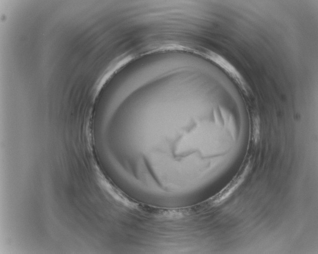 X0000079300806200612081842
