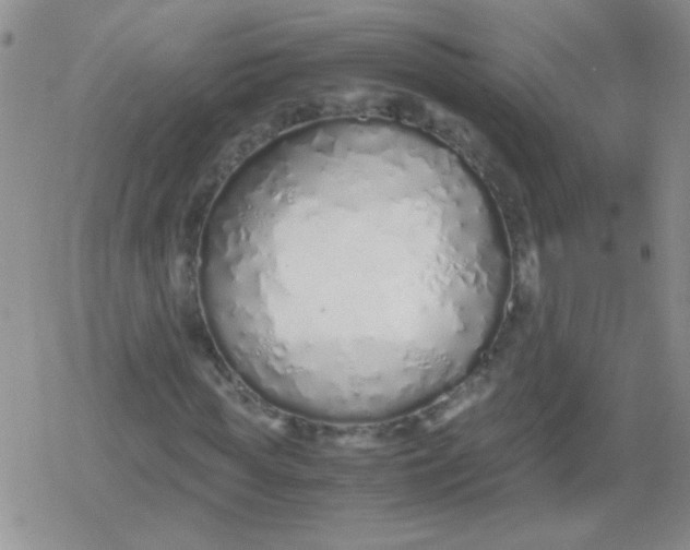 X0000079300819200612081841