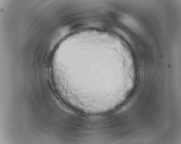X0000079300827200612081842