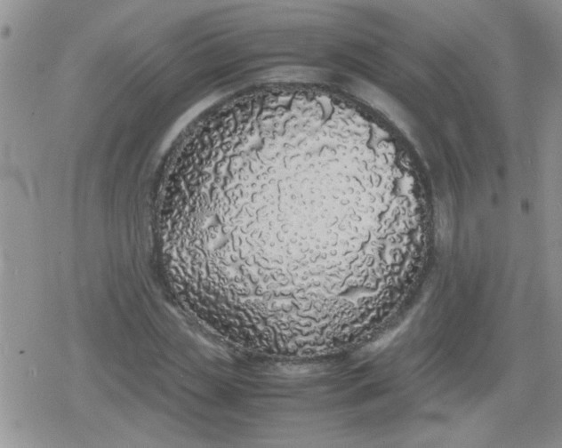 X0000079300829200612081842