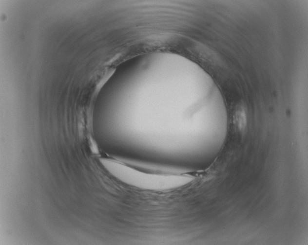 X0000079300868200612081841