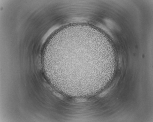 X0000079300878200612081841