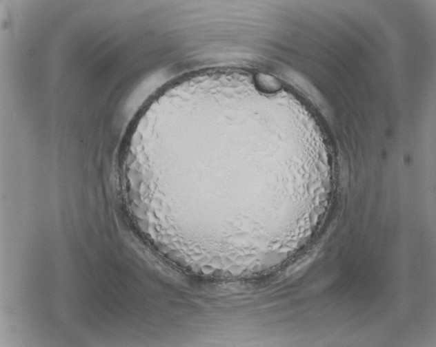X0000079300883200612081841
