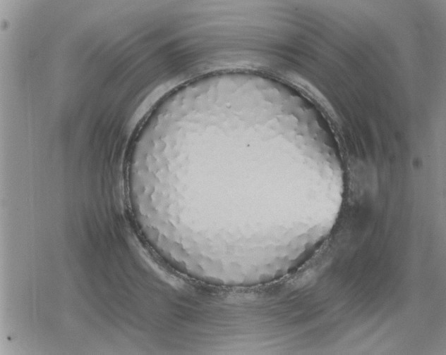 X0000079300890200612081841