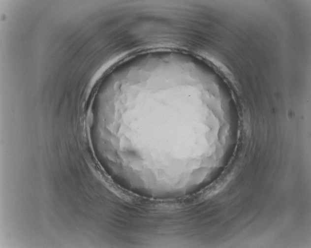 X0000079300933200612081840
