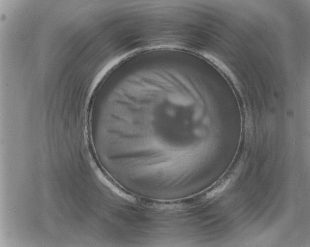 X0000079300941200612081840