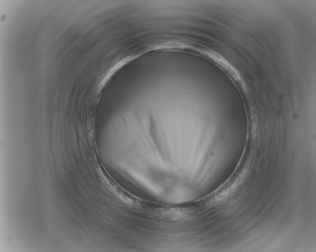 X0000079300945200612081840