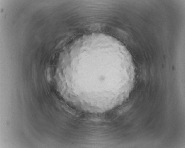 X0000079300962200612081840