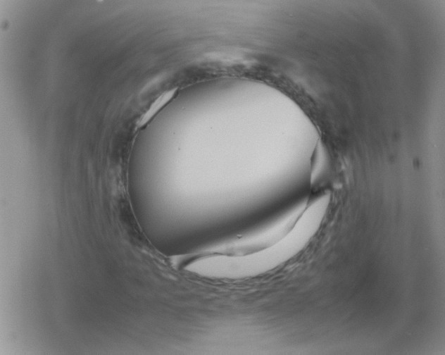 X0000079300965200612081840