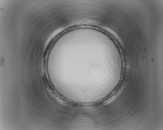 X0000079300974200612081840