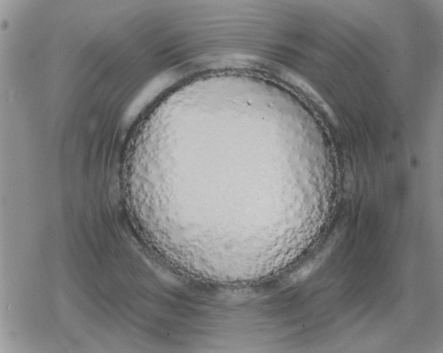 X0000079300978200612081840