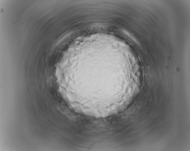 X0000079301015200612081838