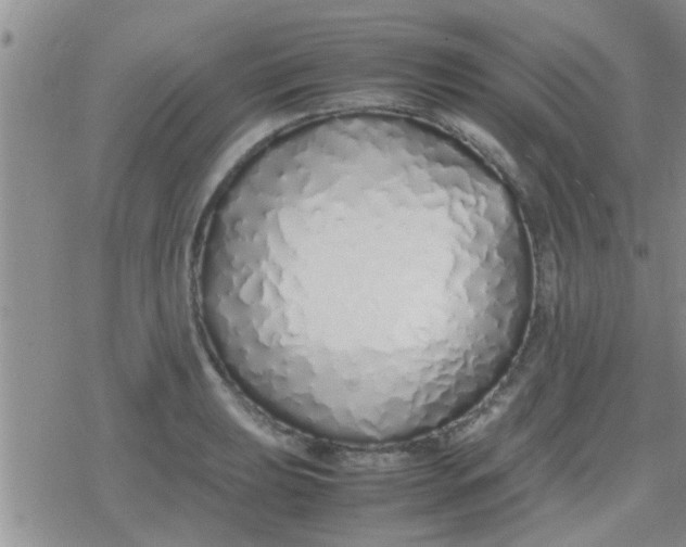 X0000079301039200612081839