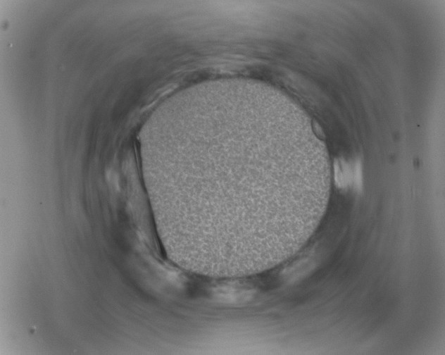 X0000079301155200612081837