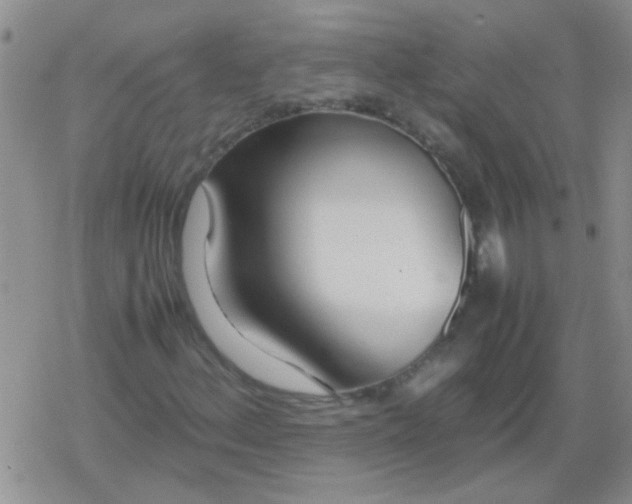 X0000079301156200612081837