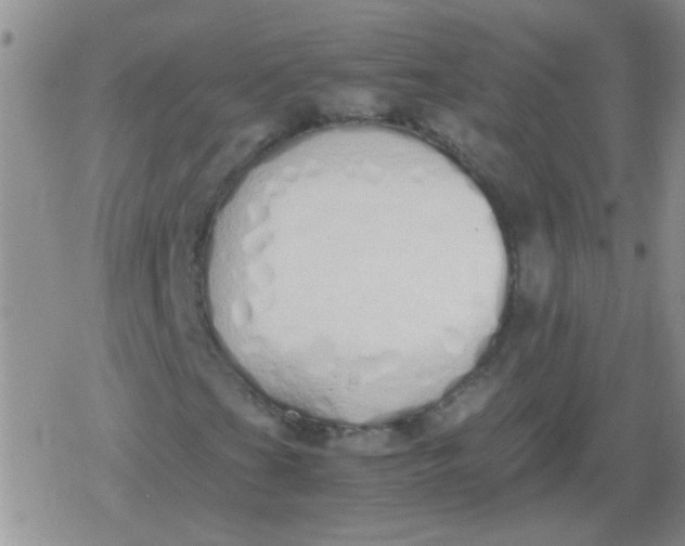 X0000079301201200612081835
