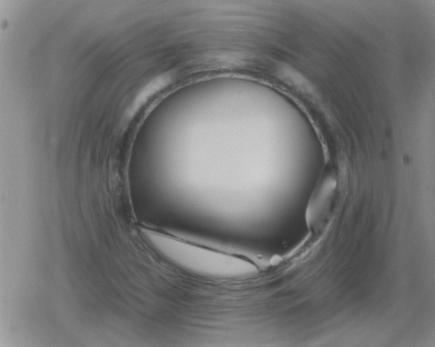 X0000079301210200612081835