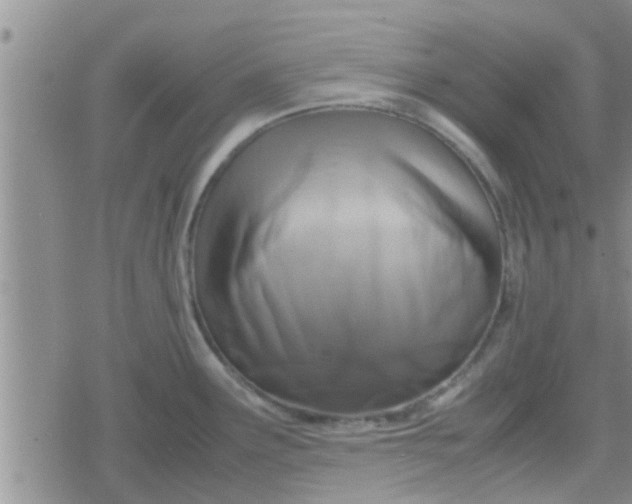 X0000079301291200612081834