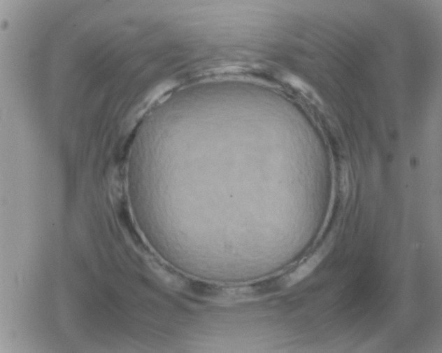 X0000079301353200612081833