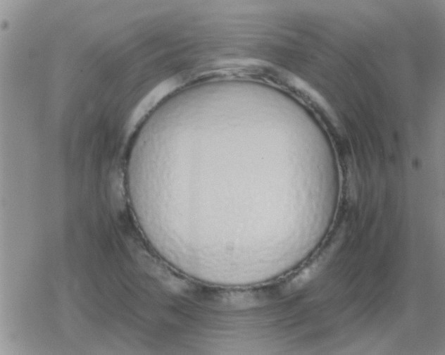 X0000079301362200612081833