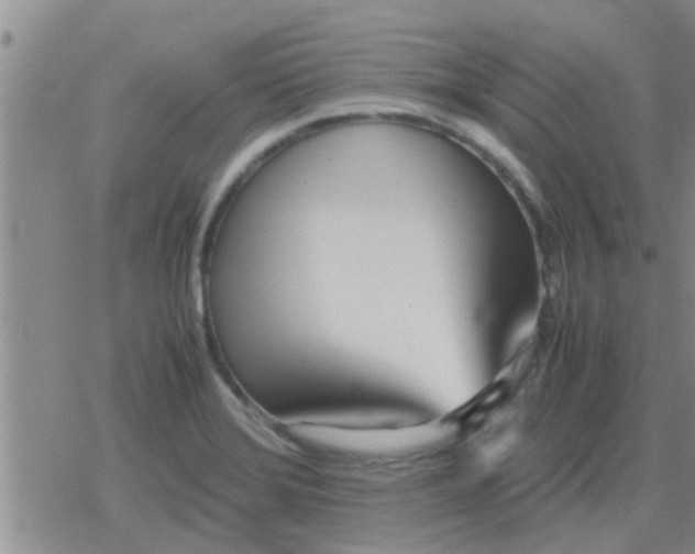 X0000079301372200612081833
