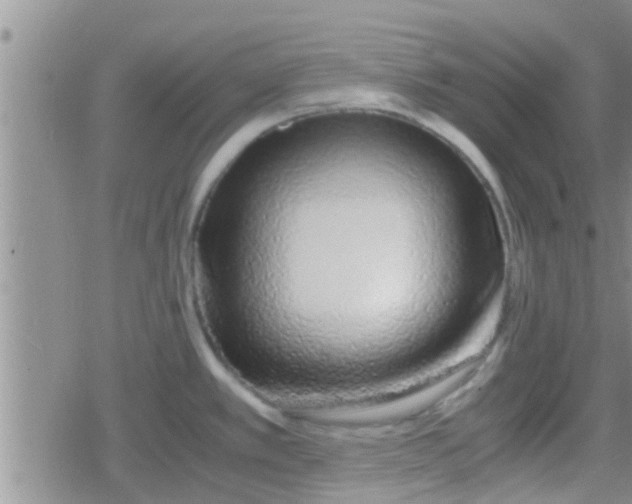 X0000079301389200612081833