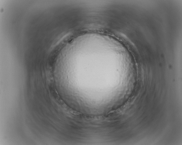X0000079301399200612081832