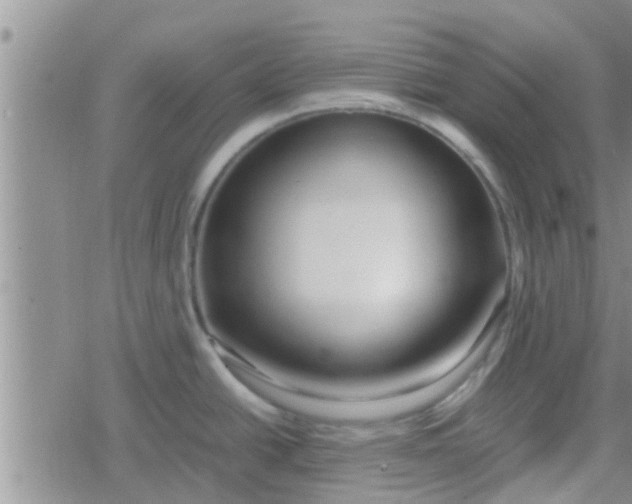 X0000079301438200612081833