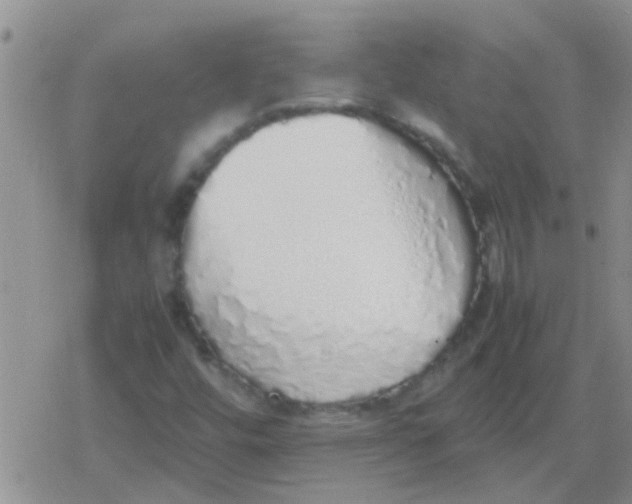 X0000079301448200612081832