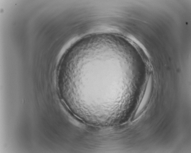 X0000079301477200612081831