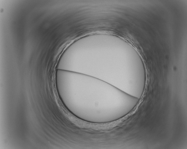 X0000079300001200612151739