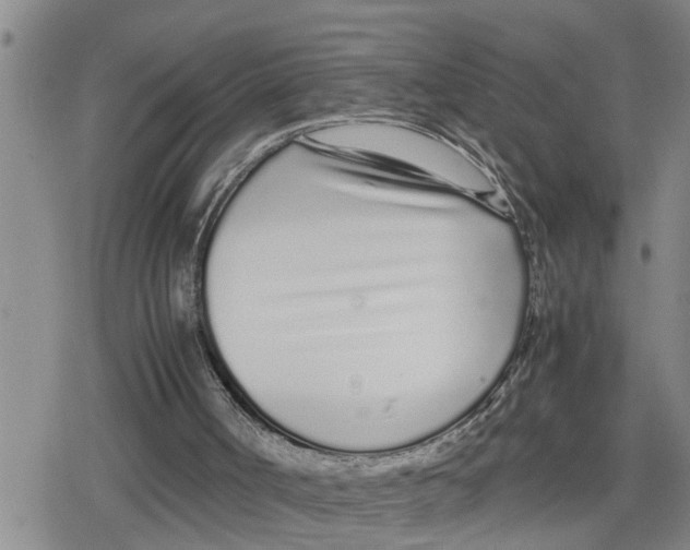 X0000079300002200612151739