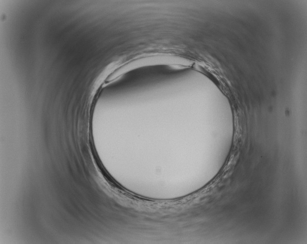 X0000079300003200612151739